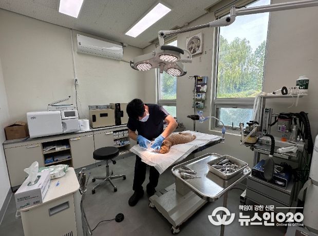 10월 1일부터 ‘치료’ 목적의 진료 항목까지 부가세 면제 대상 대폭 확대