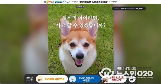 경기도 동물 입양 문화 확산 공익캠페인