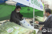 윤화섭 안산시장과 공직자, 청도군 농가 돕기 팔 걷고 나서…한재미나리 구매 특판행사 개최