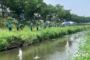 안산시새마을회, 생태하천복원운동 전개