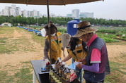 안산시, 은행열매로 만든 천연살충제 무료 나눔