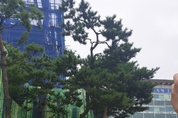 오산평화의소녀상, 세계일본군 위안부 기림일 및 소녀상 제막4주년 기념식 진행