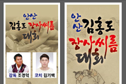 단원 김홍도의 도시 안산, 김홍도 장사씨름대회 개최
