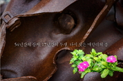 화성시,‘매향리, 평화가 오다’오디오북 전국 최초 무료 서비스 제공