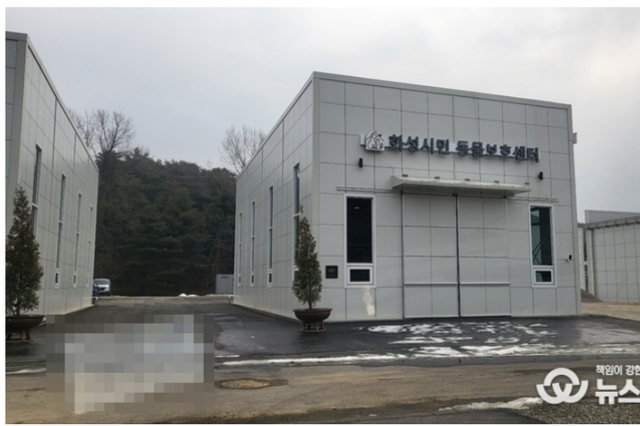 화성시 유기견 보호소 이전 갈등 법정 공방…절차·책임 놓고 대립 갈등