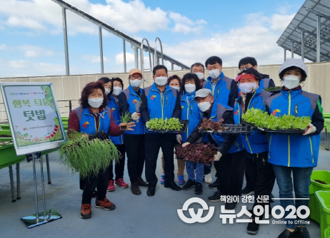 신장동 행복틔움 텃밭가꾸기
