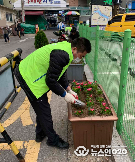 ‘봄꽃으로 코로나블루 극복’매탄1동 구매탄시장 꽃길 조성