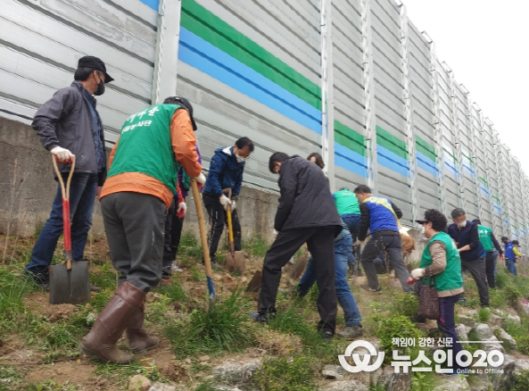 안양2동 무궁화 식재