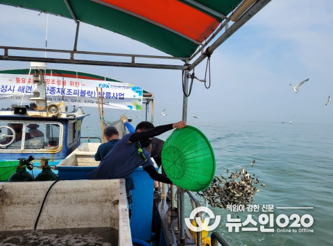 화성시, 넙치˙조피볼락 등 치어 2천4백만 마리 방류