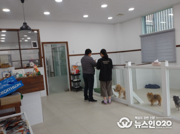 안성시, 반려동물 영업장 일제 점검