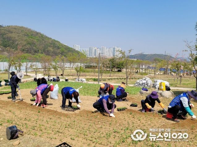 2022년 우리동네 꽃심기