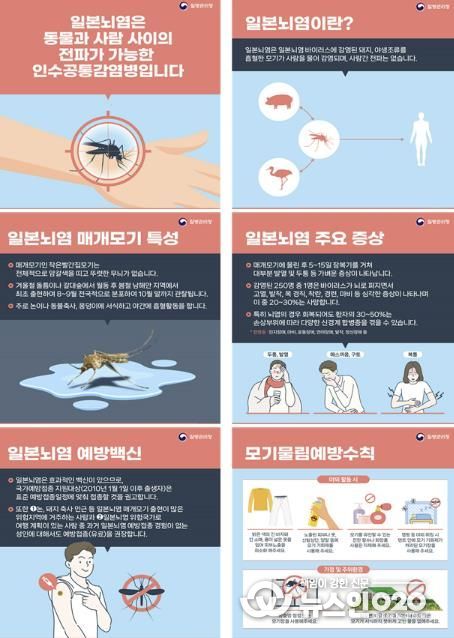 안산시, 가을철 일본뇌염 모기 물림 주의 당부… 예방수칙 준수해야