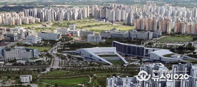 충남도cjd