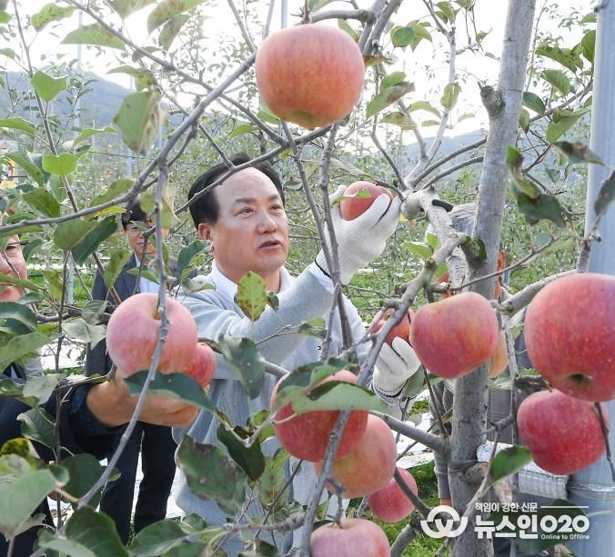 오산시, 자매도시 장수군서 ‘오산시민 장수 사과따기 체험행사’ 성황리 개최