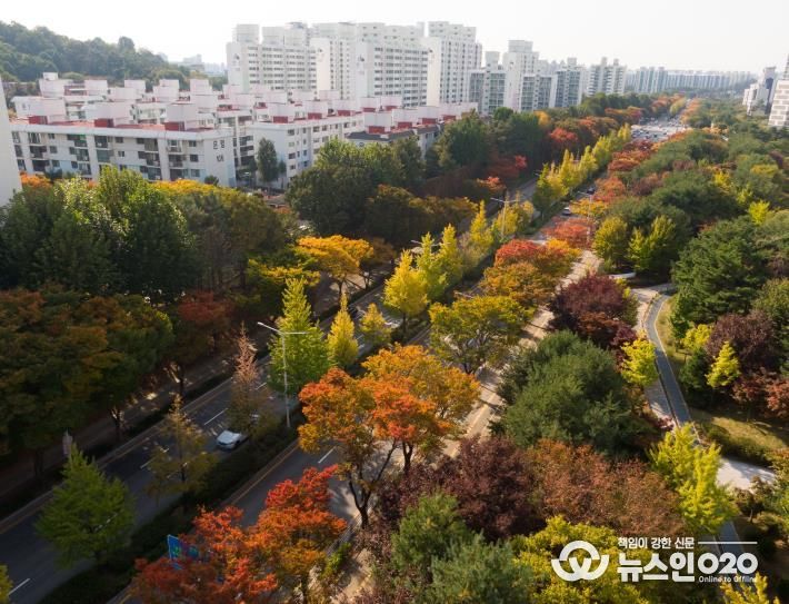 '평택시 국도1호선 가로숲길' 녹색도시 우수사례 '우수상' 수상