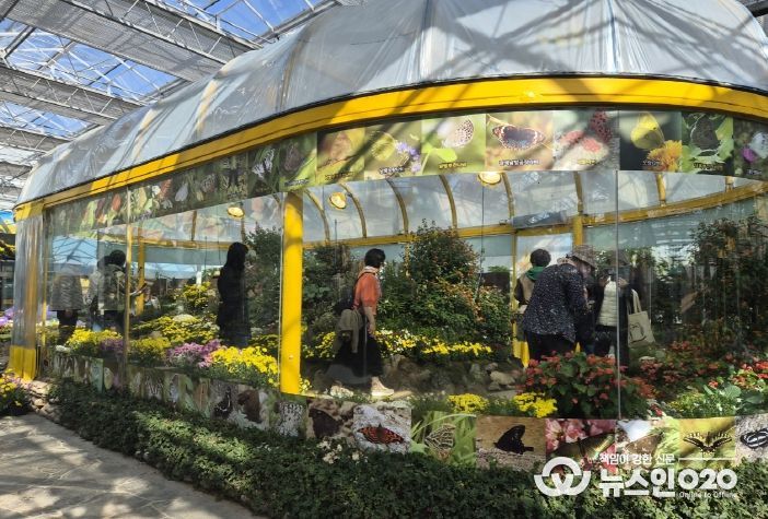 국향 속 나비의 날갯짓…함평군, 생태축제의 새 장 열다