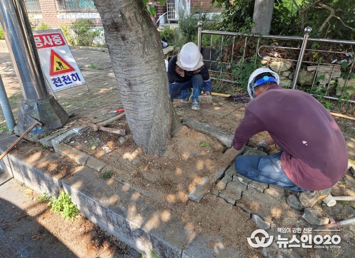 보도블록 파손 구간 점검·정비로 보행자 안전사고 예방 추진