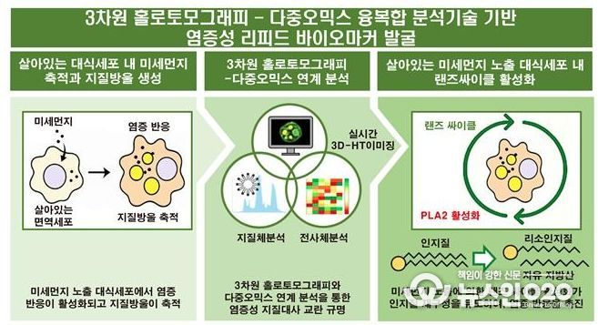 그림 연구관련 이미지