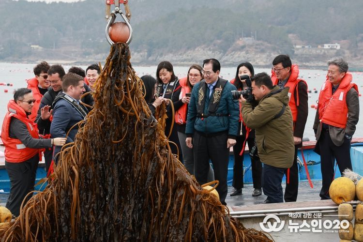 사진은 미 에너지부 산하기관 에너지 고등 계획원(ARPA-E) 관계자 완도군 해조류(미역) 양식장을 방문한 모습