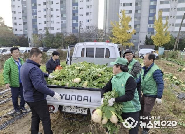 수원시 권선구 새마을지도자협의회, ‘사랑의 무’수확