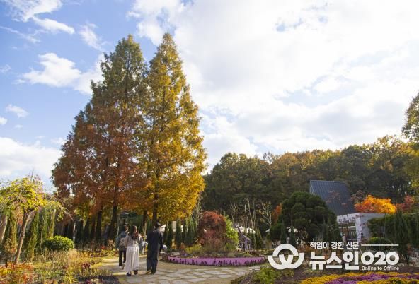 무릉도원수목원