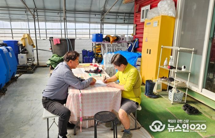 딸기 농가 컨설팅