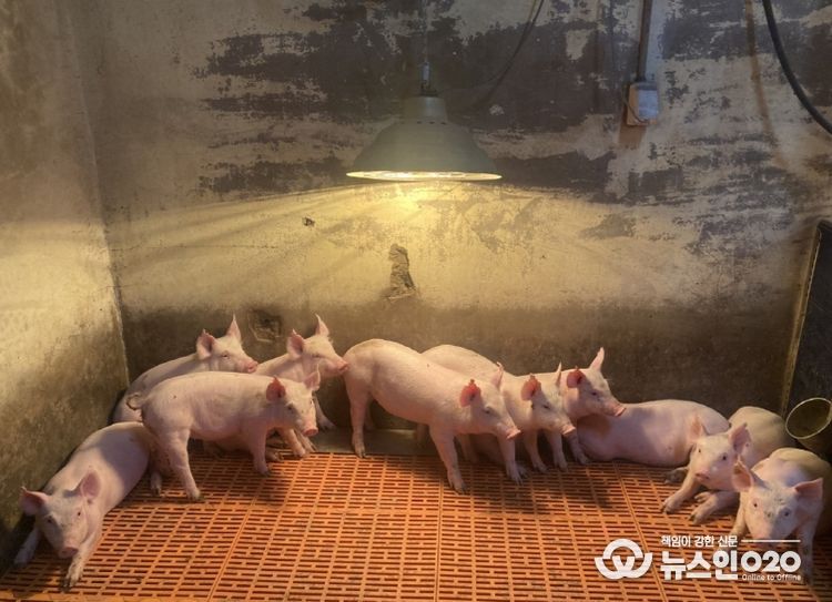 한파 대비 겨울철 축사관리