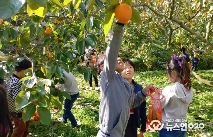 농촌체험휴향마을-곡성 가정마을