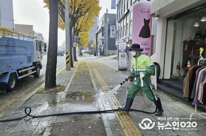 수원시 권선구, 가을철 은행나무 악취 해결에 나섰다!