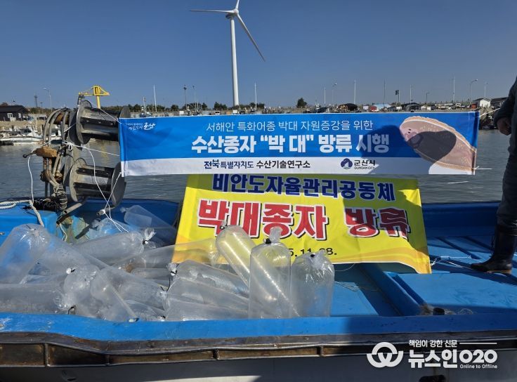 전북자치도, 어린 박대 10만 마리 무상방류