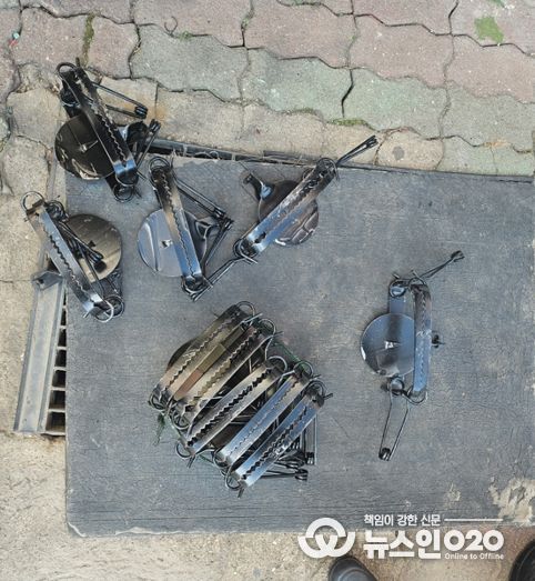 야생동물 밀렵도구 사진