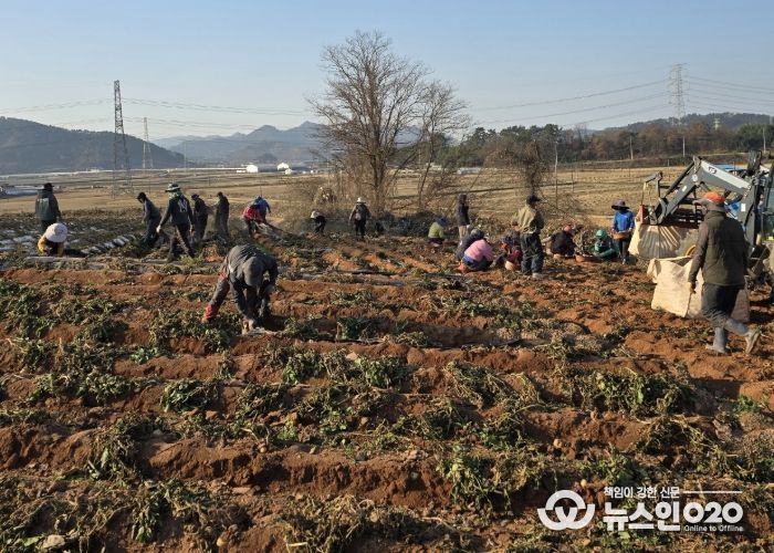 홍농청보리영농조합