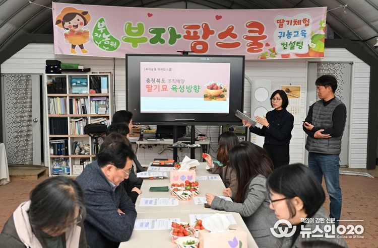 충북농기원, 딸기 무병묘 생산 체계 가동