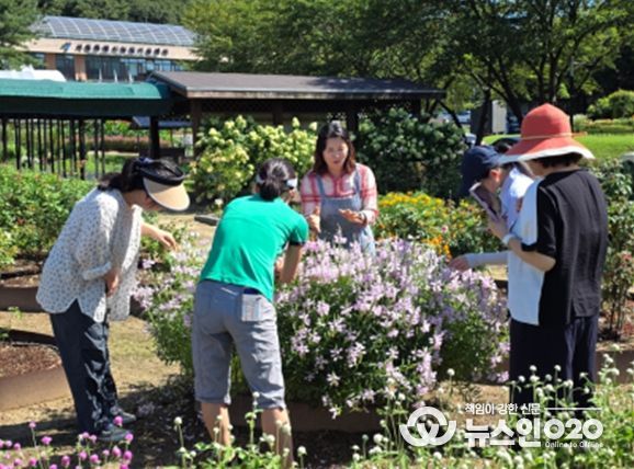 도시형 치유농업