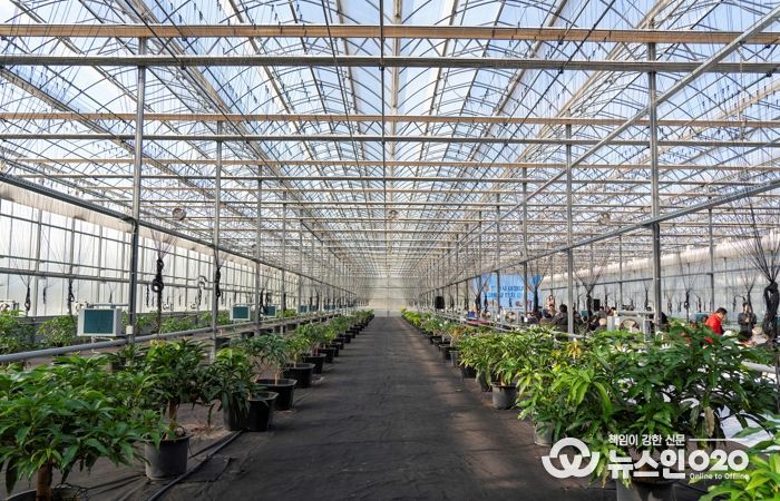 영천 아열대 스마트팜단지, 미래농업 거점으로 본격 가동