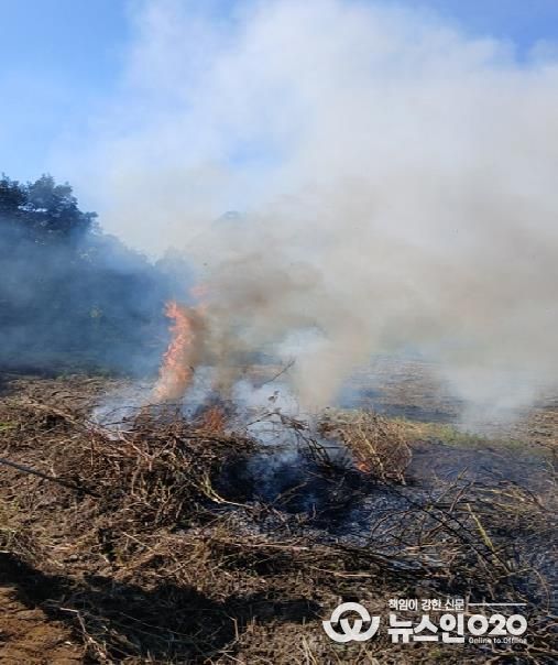 안성시, 농촌지역 산불․화재 예방 불법소각 집중단속 결과, 올해 81건 적발