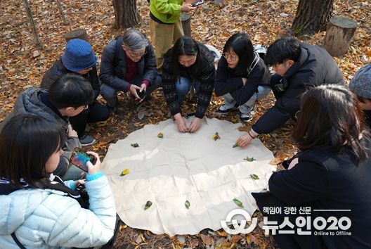 강원관광재단, ‘감탄로드’