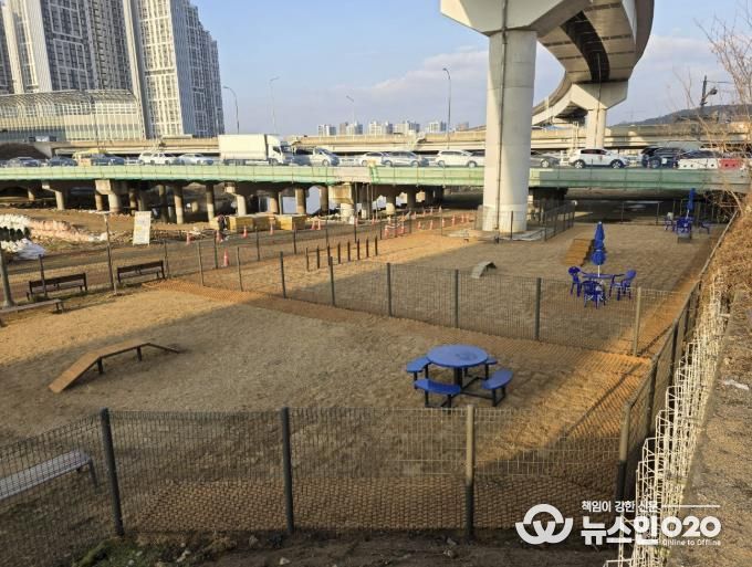 용인특례시가 처인구 경안천 산책로에 반려견 놀이터를 조성했다.
