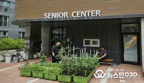 의왕시, 2026년 「쑥쑥튼튼 상자텃밭」참여 기관 모집