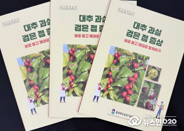 충북농기원, 대추 과실 ‘검은 점’ 방제 매뉴얼 제작‧보급