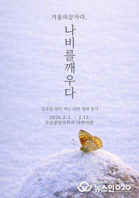 '겨울의 끝자락, 나비를 깨우다' 전시 포스터