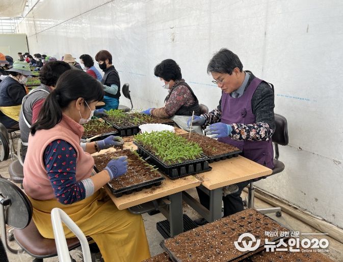 김돈곤 군수가 우량묘 가식현장을 점검하며 작업자들을 격려하고 있다.