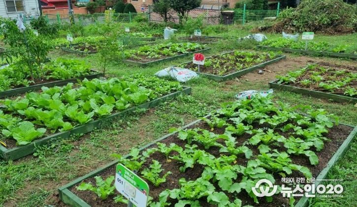 강북 도시농업 체험장 전경