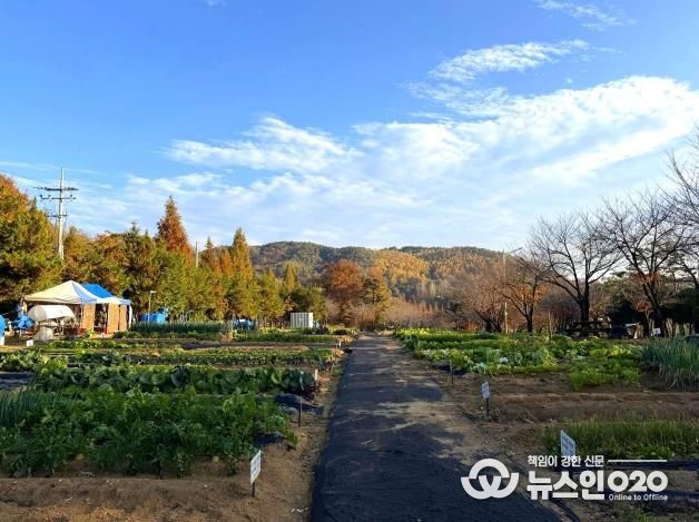 안성시, 2026년 도시농업공동체 공공텃밭 분양자 모집