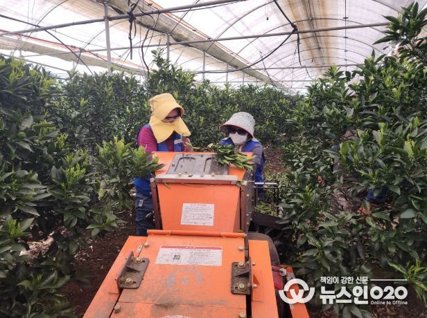 농번기 파쇄기 사용