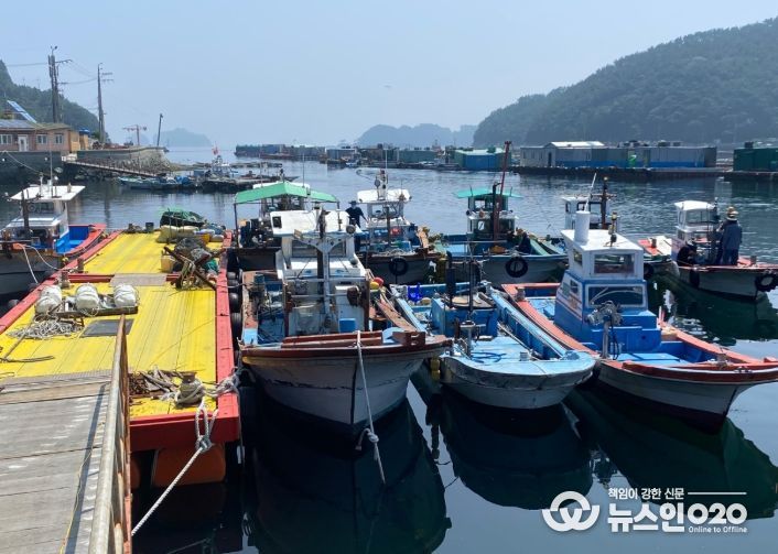 점검을 위해 항포구 정박중인 어선