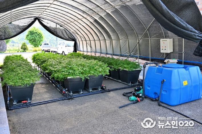 작은 공간이 농장으로…‘모듈형 수경재배장치’ 특허 등록