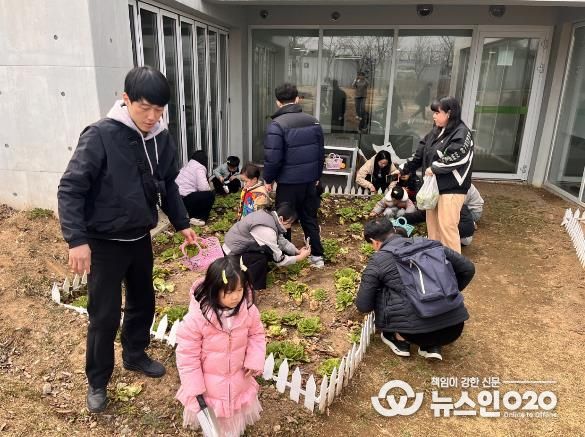 ‘가족과 함께하는 봄동수확체험’봄 찾으러 오세요~