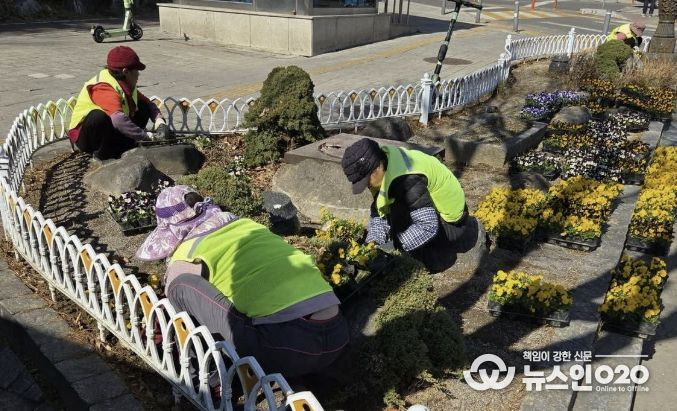 수원시 영통구, 봄꽃 식재로 도심 곳곳 '화사한 봄단장'