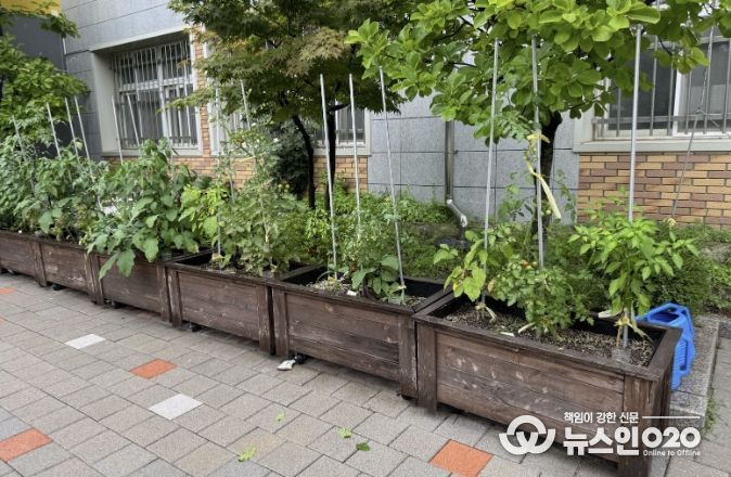 수원시 장안구, 초등학교 대상 새싹텃밭 조성 지원